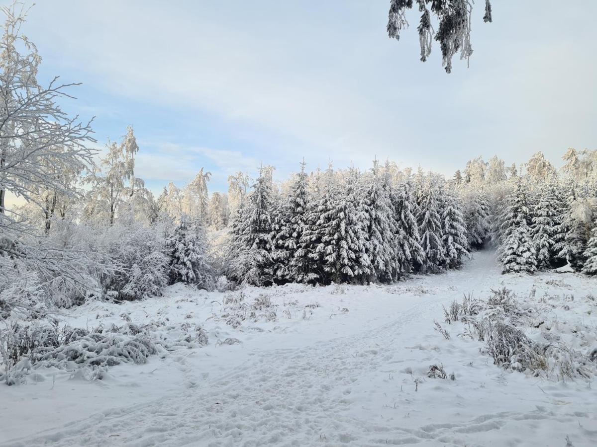 Apartament Mountains Góry Sowie Jugów Zewnętrze zdjęcie